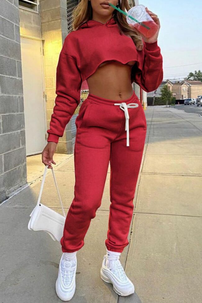 Casual Solid Split Joint Hooded Collar Long Sleeve Regular Sleeve Short Two Pieces