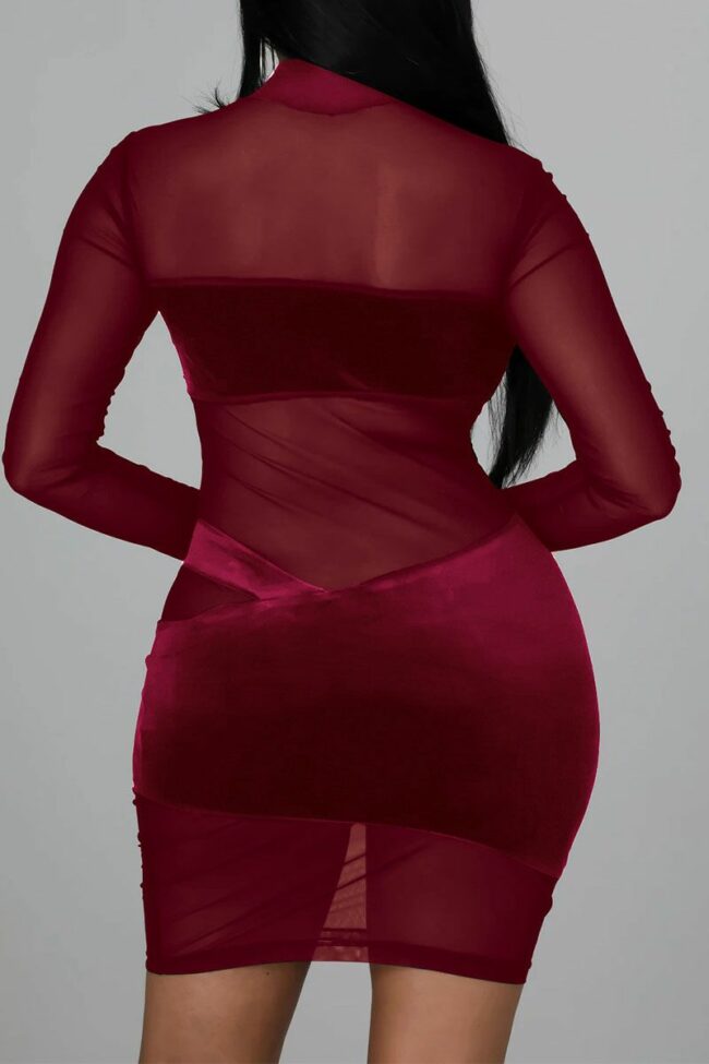 Sexy Solid Split Joint See-through Mesh Half A Turtleneck One Step Skirt Dresses