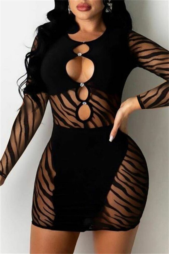 Fashion Sexy Patchwork Hollowed Out See-through O Neck Long Sleeve Dresses