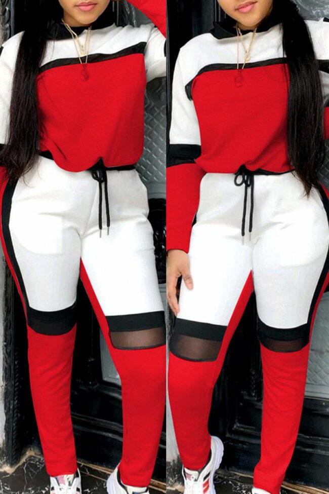 Fashion Casual Patchwork Basic O Neck Long Sleeve Two Pieces