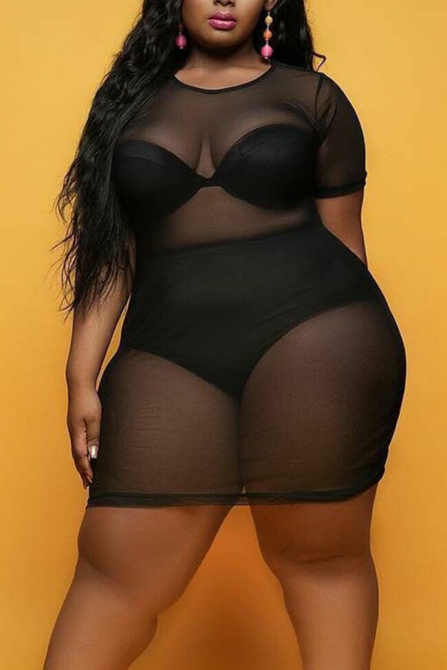 Sexy Solid Split Joint See-through O Neck Straight Plus Size Dresses