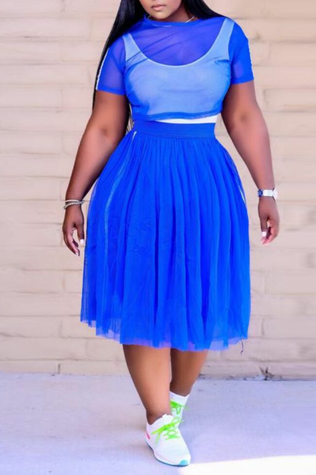 Casual Solid Mesh O Neck Cake Skirt Plus Size Two Pieces