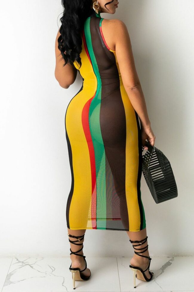 Fashion Sexy Print See-through Half A Turtleneck Sleeveless Dress