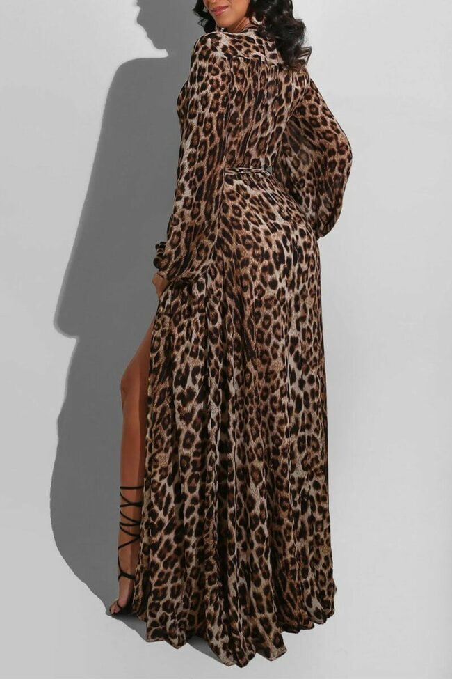 British Style Leopard V Neck Long Sleeve Floor Length A Line Dresses