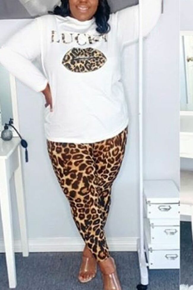 Casual Leopard Split Joint O Neck Long Sleeve Regular Sleeve Two Pieces