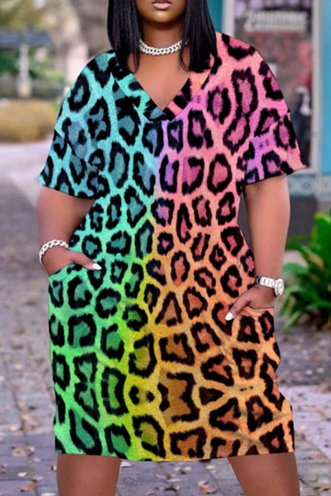 Fashion Casual Print Leopard Basic V Neck Short Sleeve Dress